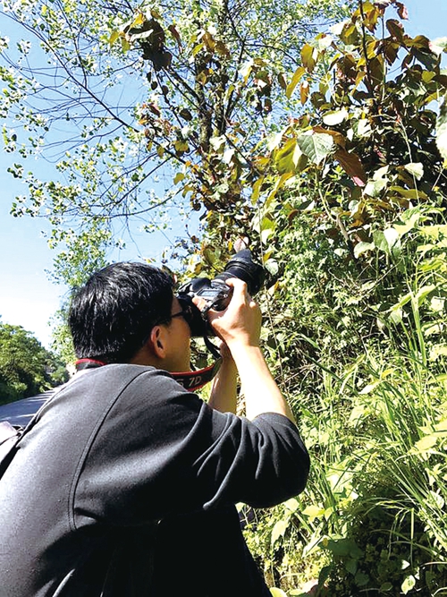 中草药图谱挖掘医用“宝藏”&nbsp;泸州民间药人助攻医药研究(图12)