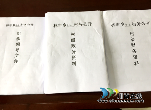 宜宾市南溪区林丰乡开展村务公开检查