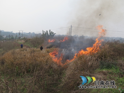 泸县嘉明镇警民联手扑灭山火(图1)