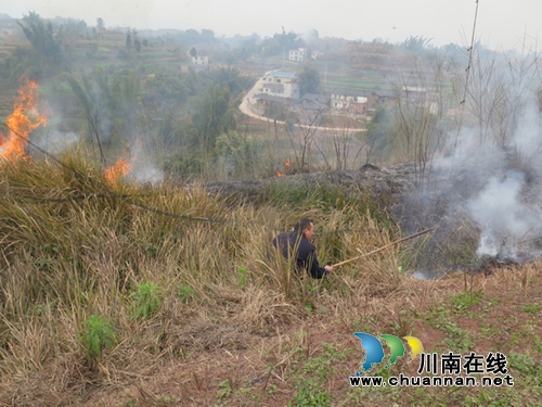 泸县嘉明镇警民联手扑灭山火