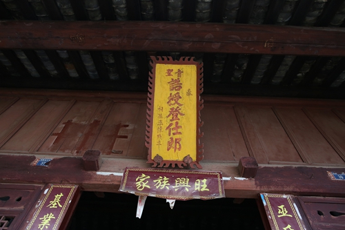 震撼！深山藏三百年巨大墓地　探究！客家移民文化打包呈现