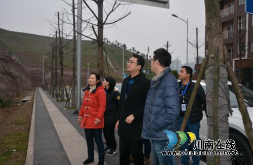 江阳区张坝街道开展岁末年初安全联合大检查(图1)
