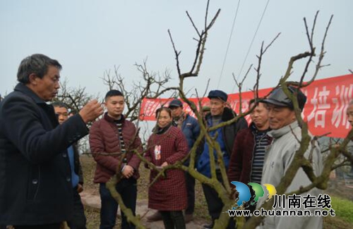 宜宾南溪区留宾乡“农民夜校”激发农村发展活力(图1) 宜宾南溪区留宾乡“农民夜校”激发农村发展活力(图1)