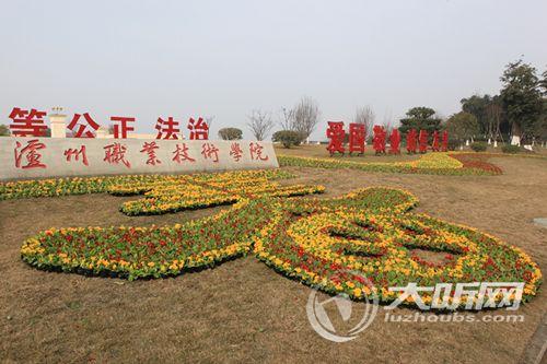 春节来临&nbsp;泸州100万盆鲜花为城市增添新景(图1)