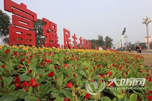 春节来临&nbsp;泸州100万盆鲜花为城市增添新景(图3)