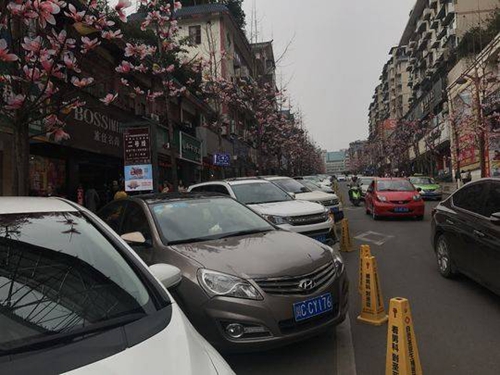 自贡观灯如遇“停车乱收费”&nbsp;可电话举报投诉
