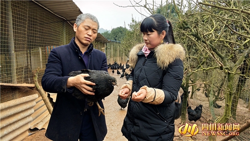 从泸州“土专家”到省人大代表 他带村民致富(图3) 从泸州“土专家”到省人大代表 他带村民致富(图3)