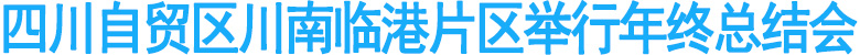 四川自贸区川南临港片区举行年终总结会