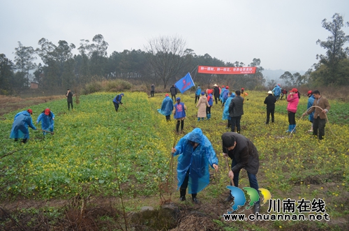 泸县玉蟾街道开展义务植树活动