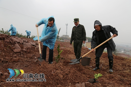 上班第一天 泸县机关干部为农户种下脱贫果树(图2) 上班第一天 泸县机关干部为农户种下脱贫果树(图2)