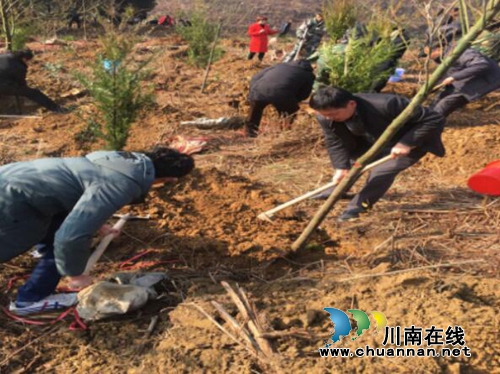 贵州三穗县民政局组织干部职工参加植树活动(图1) 贵州三穗县民政局组织干部职工参加植树活动(图1)