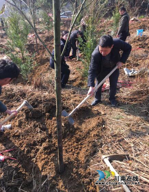 贵州三穗县民政局组织干部职工参加植树活动