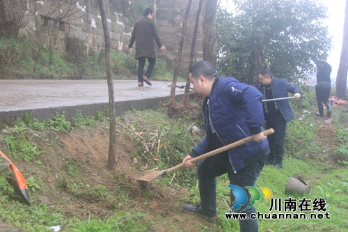泸县百和镇开展义务植树活动