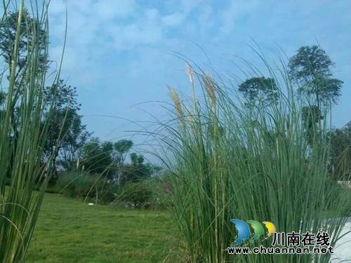 长江源头:春天来了(现代诗)(图2) 长江源头:春天来了(现代诗)(图2)