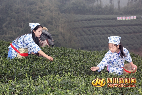 早茶飘香 宜宾江安县底蓬镇第二届早茶节开幕(图3) 早茶飘香 宜宾江安县底蓬镇第二届早茶节开幕(图3)