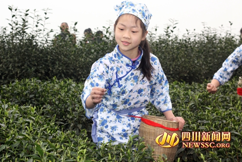 早茶飘香 宜宾江安县底蓬镇第二届早茶节开幕(图4) 早茶飘香 宜宾江安县底蓬镇第二届早茶节开幕(图4)