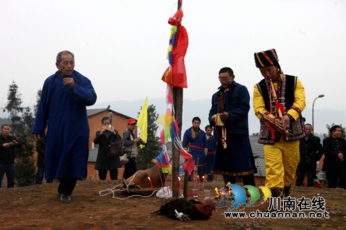 合江举行苗族“踩山节”&nbsp;欢乐中传承民俗文化(图4)