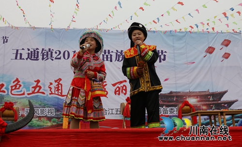 合江举行苗族“踩山节”&nbsp;欢乐中传承民俗文化(图12)