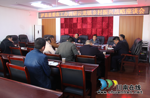 泸县委农工办到云龙镇调研乡村振兴战略发展规划