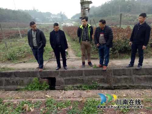 江阳区华阳街道及时抗旱保春耕(图1)