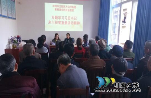 大山坪麻柳湾社区传达学习习***来川视察重要讲话精神