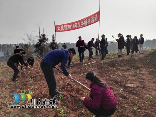 践行绿色发展理念&nbsp;泸县国土局到太伏镇开展植树活动
