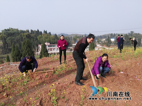 践行绿色发展理念&nbsp;泸县国土局到太伏镇开展植树活动(图2)