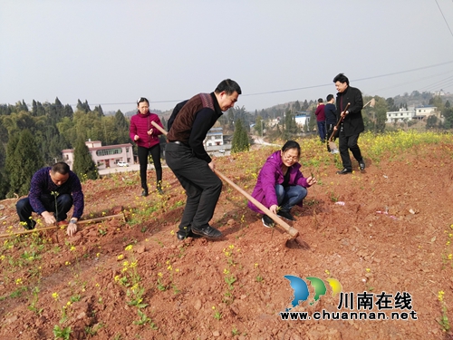 践行绿色发展理念&nbsp;泸县国土局到太伏镇开展植树活动(图3)