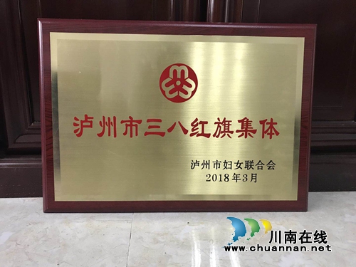 泸州萤火虫普法志愿者:用微光照亮城市未来(图4) 泸州萤火虫普法志愿者:用微光照亮城市未来(图4)