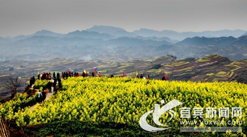 “高兴之县·金花海”休闲农业和乡村旅游启动(图1) “高兴之县·金花海”休闲农业和乡村旅游启动(图1)