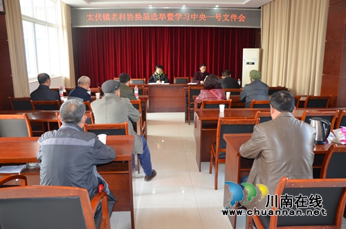 泸县太伏镇召开老科协换届选举暨学习中央一号文件工作会