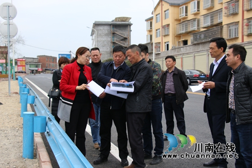 杨双全到泸县潮河镇调研场镇基础设施工作