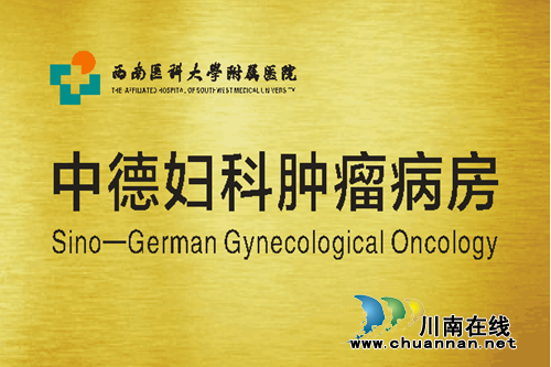 重磅!德国卵巢癌手术技术正式落户泸州(图1) 重磅!德国卵巢癌手术技术正式落户泸州(图1)