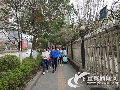 宜宾28所公立高中免学费 学生家长教师都叫好(图2) 宜宾28所公立高中免学费 学生家长教师都叫好(图2)