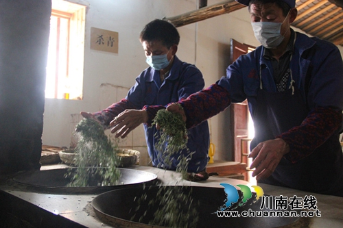 纳溪“川南雀舌”手工茶：指尖上的“非遗”(图4)