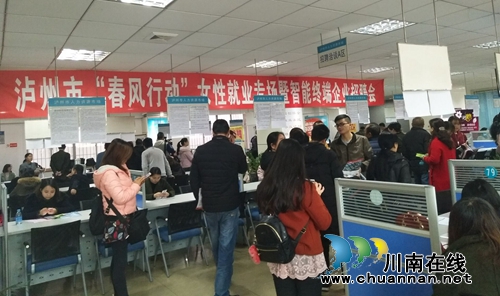 泸州举行女性就业专场暨智能终端企业招聘会