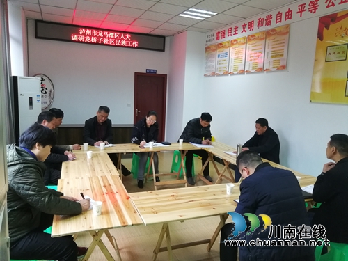 龙马潭区人大调研红星街道龙桥子社区城市民族工作