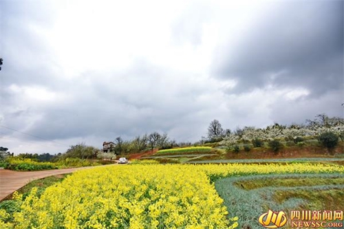 宜宾南溪区3月15日举行仙临梨花节&nbsp;助农增收