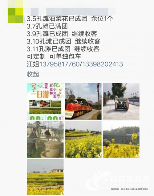 三月花开季&nbsp;宜宾乡村一日游成旅行社吸金王(图1)