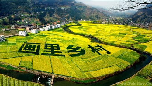 古蔺双沙菜花旅游文化开放月3月17日开幕(图1) 古蔺双沙菜花旅游文化开放月3月17日开幕(图1)