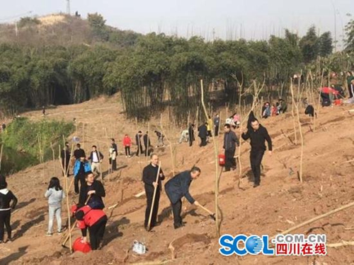 自贡启动“一江两河”绿色长廊建设&nbsp;造林万亩