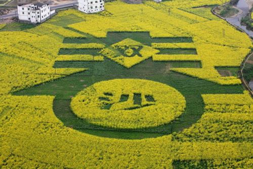 四川推介20个油菜花精品景区&nbsp;古蔺双沙上榜