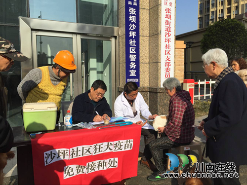 江阳区张坝街道沙坪社区开展狂犬疫苗免费接种活动