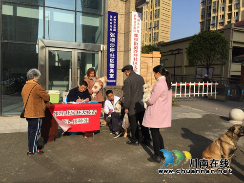 江阳区张坝街道沙坪社区开展狂犬疫苗免费接种活动(图2) 江阳区张坝街道沙坪社区开展狂犬疫苗免费接种活动(图2)