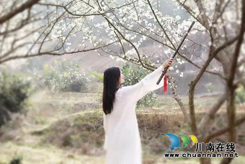 赛摄影赏李花 古蔺三道水约你相聚“花果山”(图1) 赛摄影赏李花 古蔺三道水约你相聚“花果山”(图1)