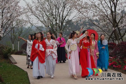 人间仙境,梦幻之园---丹林樱花谷与你相约(图3) 人间仙境,梦幻之园---丹林樱花谷与你相约(图3)