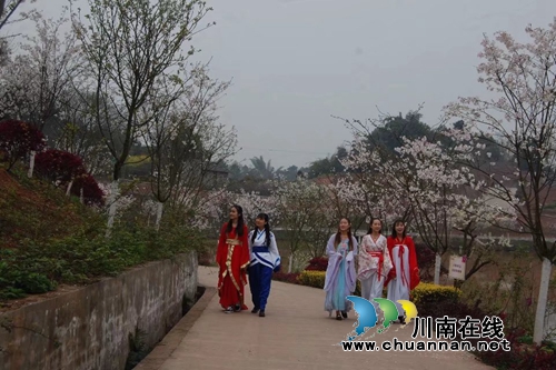 人间仙境,梦幻之园---丹林樱花谷与你相约(图6) 人间仙境,梦幻之园---丹林樱花谷与你相约(图6)