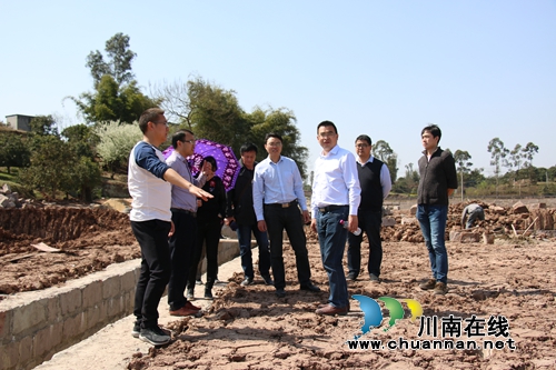 市、县财政局到泸县潮河镇督导农业开发项目(图1)