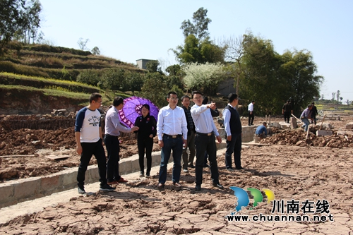 市、县财政局到泸县潮河镇督导农业开发项目(图2)