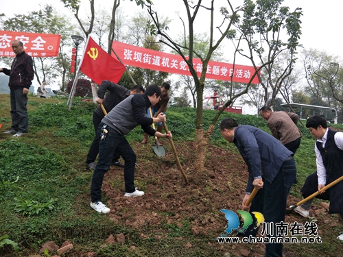 江阳区张坝街道：主题党日活动“接地气”(图1)